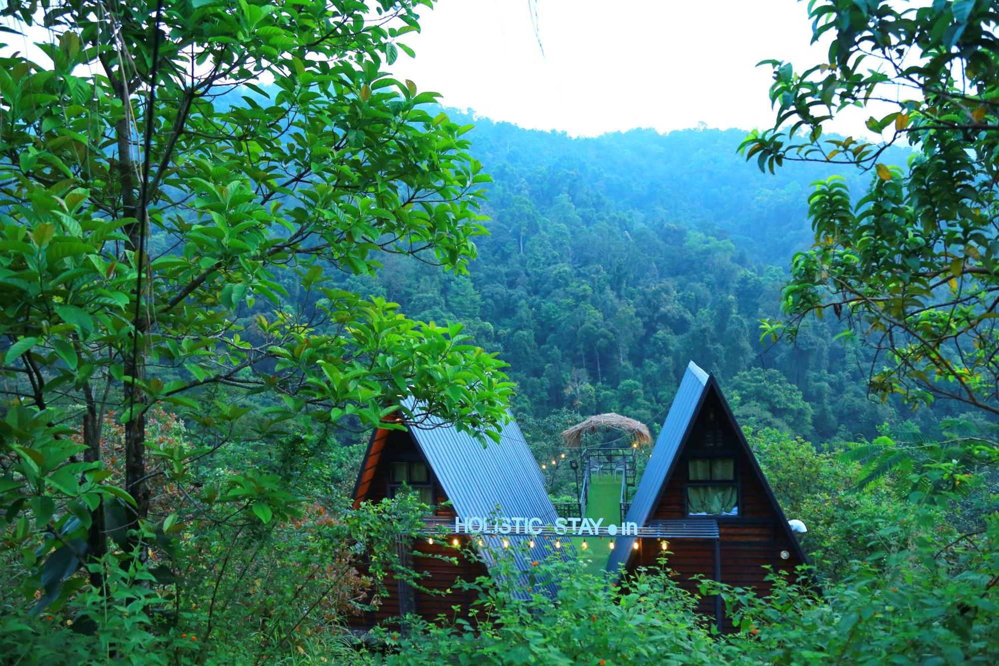 Holistic Stay Eco-Resort & Ayurvedic Retreat Paithalmala Exterior photo