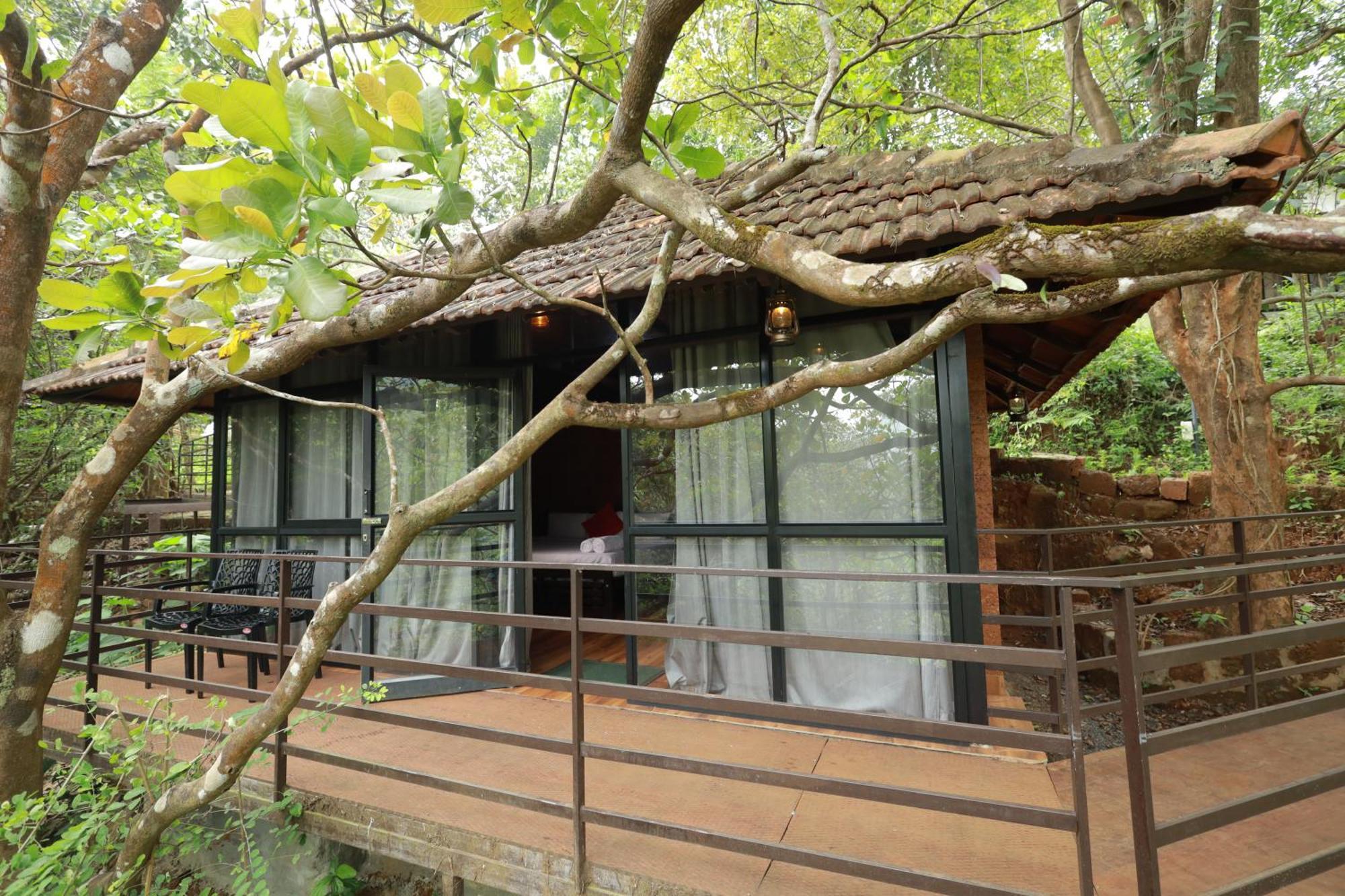 Holistic Stay Eco-Resort & Ayurvedic Retreat Paithalmala Exterior photo
