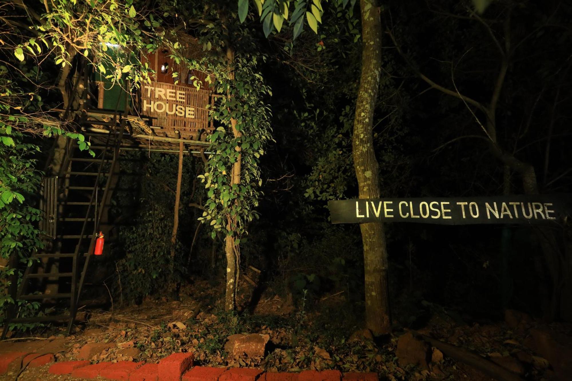 Holistic Stay Eco-Resort & Ayurvedic Retreat Paithalmala Exterior photo